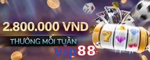 vip88